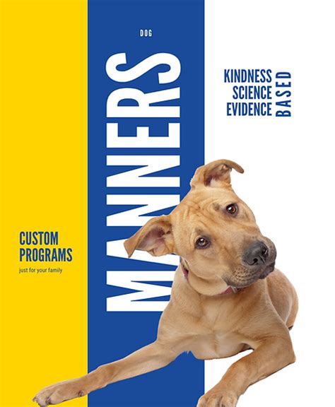 Magix Puppy Books: A Holistic Approach to Training and Wellness